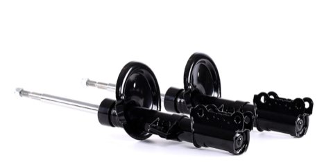 Ridex 854S1552 Shock Absorber