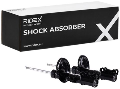 Ridex 854S1552 Shock Absorber, photo 2