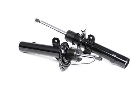 Ridex 854S1562 Shock Absorber
