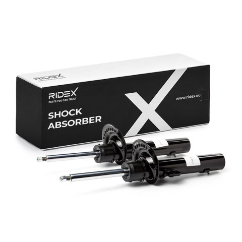 Ridex 854S1562 Shock Absorber, photo 2