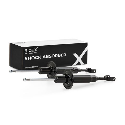 Ridex 854S1568 Shock Absorber, photo 2