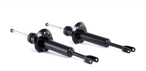 Ridex 854S1569 Shock Absorber