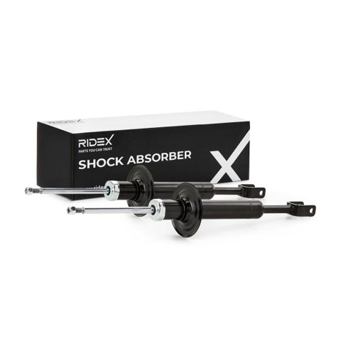 Ridex 854S1569 Shock Absorber, photo 2