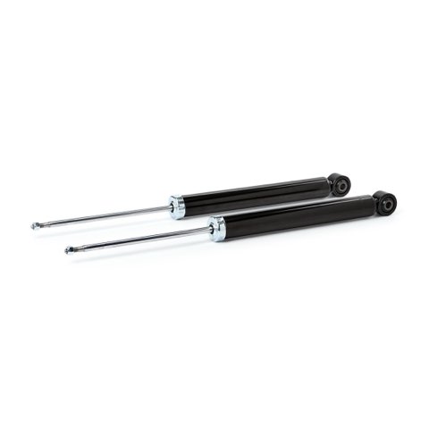Ridex 854S1575 Shock Absorber, photo 8