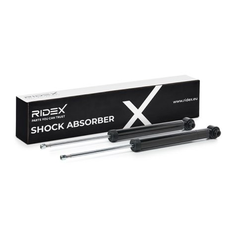Ridex 854S1580 Shock Absorber, photo 2