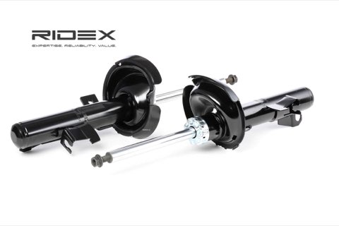 Ridex 854S1582 Shock Absorber
