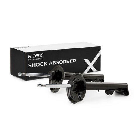Ridex 854S1598 Shock Absorber, photo 2