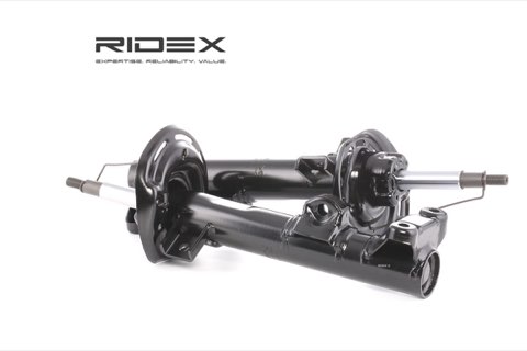 Ridex 854S1602 Shock Absorber