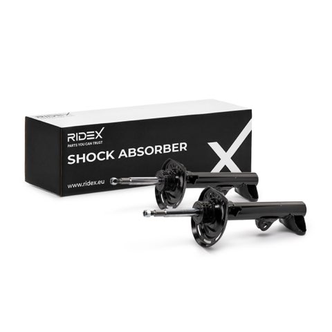 Ridex 854S1602 Shock Absorber, photo 2