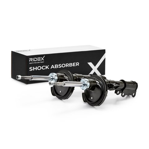 Ridex 854S1603 Shock Absorber, photo 2