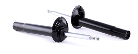 Ridex 854S1604 Shock Absorber