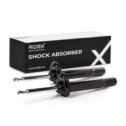 Ridex 854S1604 Shock Absorber, photo 2