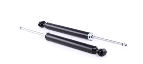 Ridex 854S1605 Shock Absorber