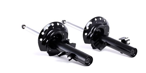 Ridex 854S1606 Shock Absorber
