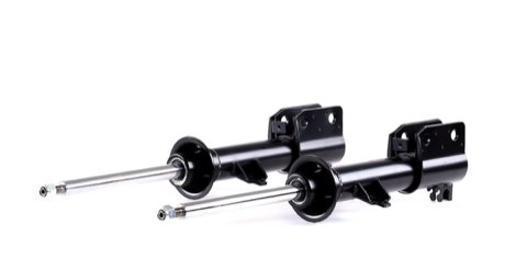 Ridex 854S1616 Shock Absorber