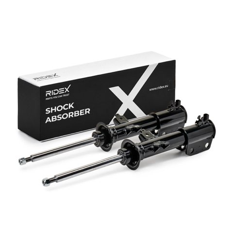 Ridex 854S1616 Shock Absorber, photo 2