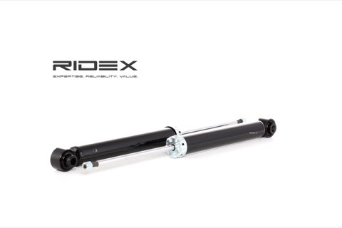 Ridex 854S1617 Shock Absorber