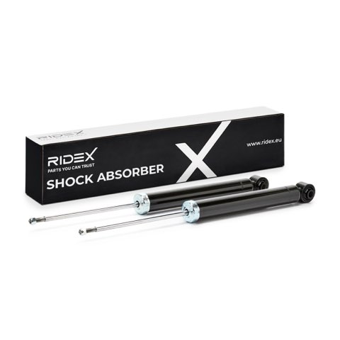 Ridex 854S1617 Shock Absorber, photo 2