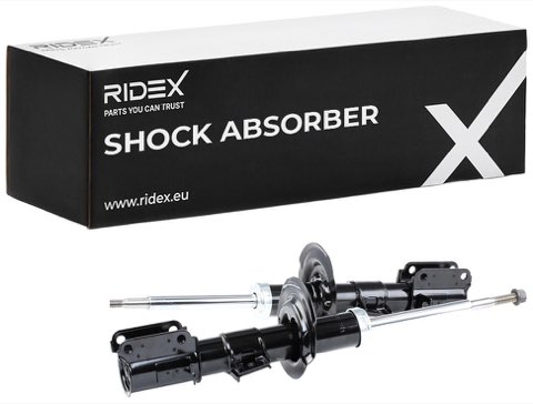 Ridex 854S1620 Shock Absorber, photo 2
