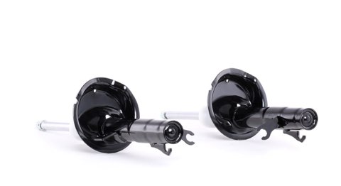 Ridex 854S1625 Shock Absorber