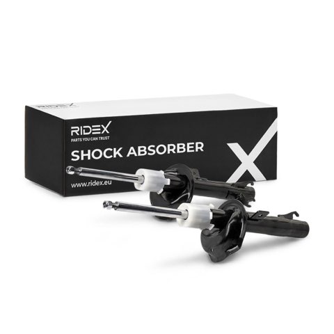 Ridex 854S1625 Shock Absorber, photo 2