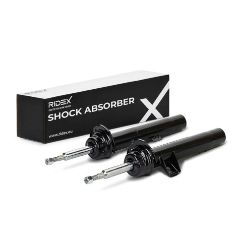 Ridex 854S1633 Shock Absorber, photo 2