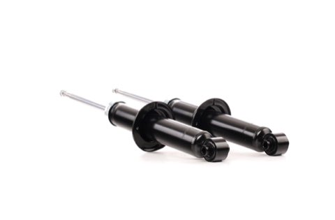 Ridex 854S1641 Shock Absorber