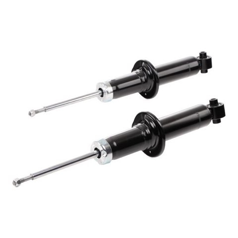 Ridex 854S1641 Shock Absorber, photo 3
