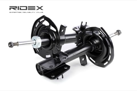 Ridex 854S1648 Shock Absorber