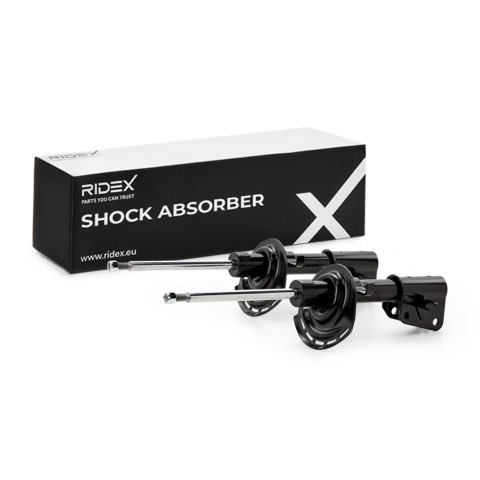 Ridex 854S1648 Shock Absorber, photo 2