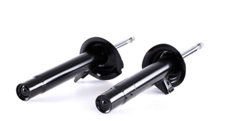 Ridex 854S1654 Shock Absorber