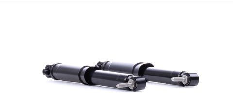 Ridex 854S1658 Shock Absorber
