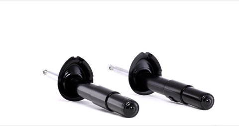 Ridex 854S1660 Shock Absorber