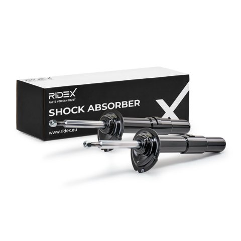 Ridex 854S1660 Shock Absorber, photo 2