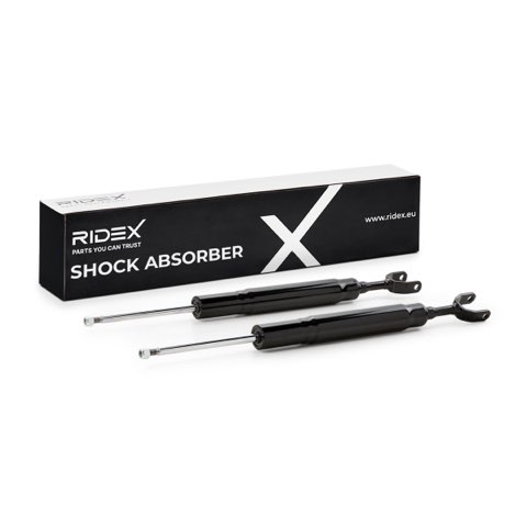 Ridex 854S1663 Shock Absorber, photo 2