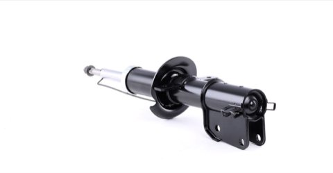 Ridex 854S1673 Shock Absorber