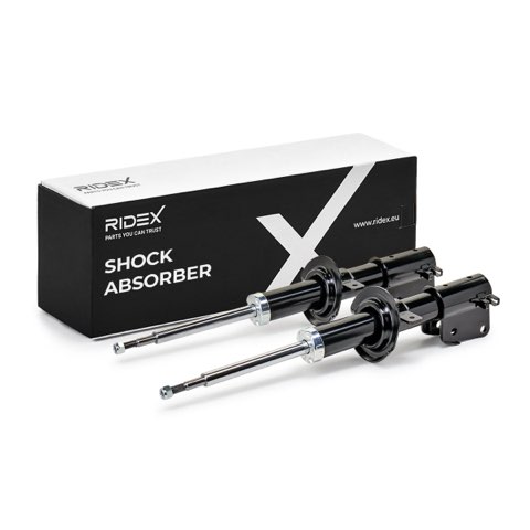 Ridex 854S1673 Shock Absorber, photo 2