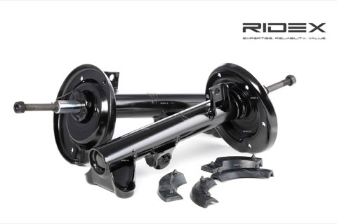 Ridex 854S1675 Shock Absorber