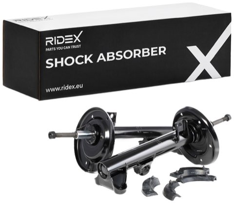 Ridex 854S1675 Shock Absorber, photo 2
