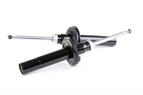 Ridex 854S1680 Shock Absorber