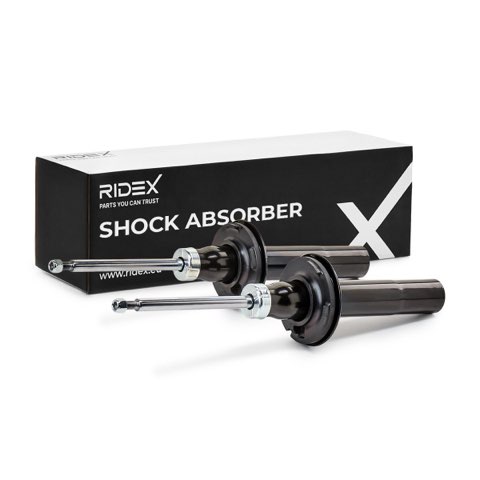 Ridex 854S1680 Shock Absorber, photo 2