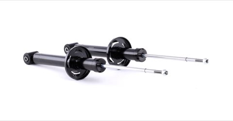 Ridex 854S1686 Shock Absorber