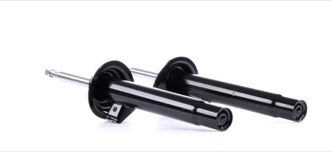 Ridex 854S1693 Shock Absorber