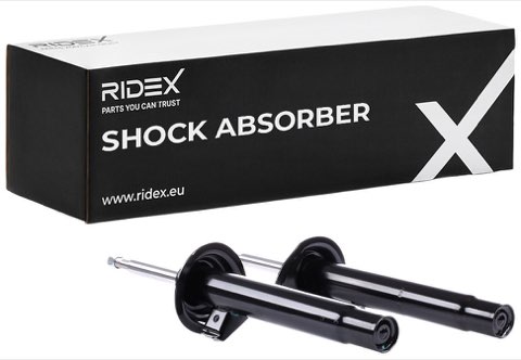 Ridex 854S1693 Shock Absorber, photo 2