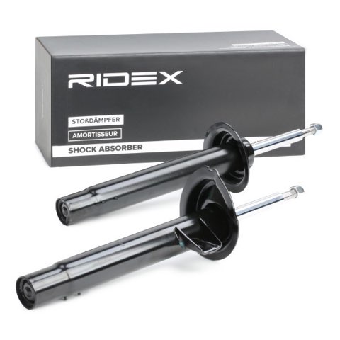 Ridex 854S1693 Shock Absorber, photo 3
