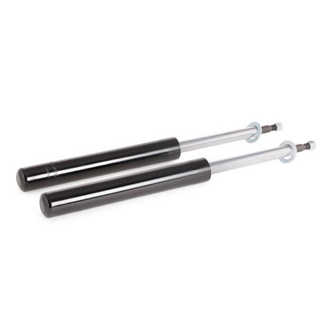 Ridex 854S1701 Shock Absorber, photo 3