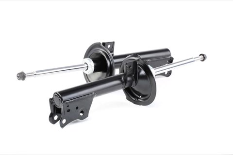 Ridex 854S1702 Shock Absorber