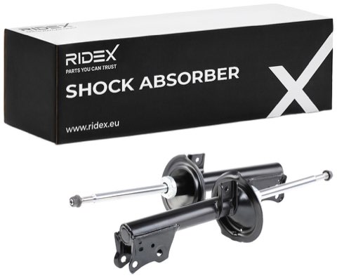 Ridex 854S1702 Shock Absorber, photo 2