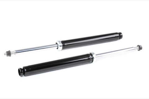Ridex 854S1713 Shock Absorber