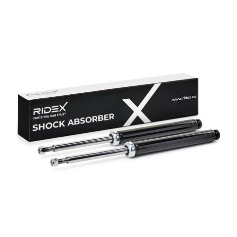 Ridex 854S1713 Shock Absorber, photo 2